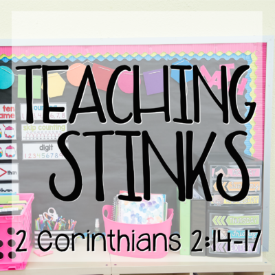 Teaching Stinks